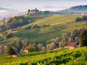 Piedmont