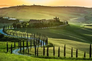 Explore Tuscan hills and Chianti in this Halfday Tour